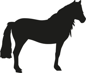 Poster - Haflinger horses silhouette