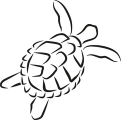 Sticker - Swimming turtle caligraphy style