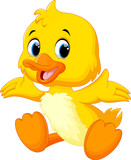 Fototapeta  - Cute baby duck lifted its wings