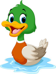 Wall Mural - cartoon duck swimming