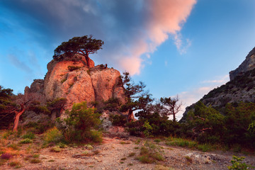 Sunrise in mountains with path through the forest. Nature backgr