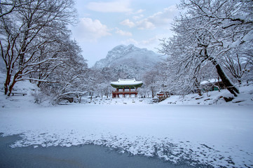 Wall Mural - Baekyangsa Temple, Naejangsan Mountain in winter with snow,Famou