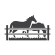horses black simple icon on white background for web