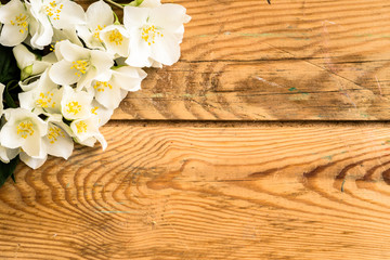 Wall Mural - Jasmine flowers on wooden boards useful as greeting card 