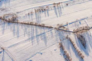 aerial view  over the harvest fields in winter