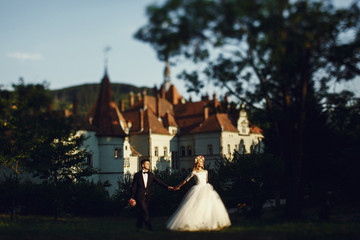 Wall Mural - Gorgeous blonde young bride and charming groom holding hands at