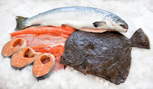 Fresh Fish On Ice. Raw Whole Salmon, Slices Of Red Fish And Whol