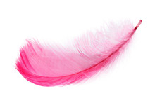 Pink Feather White