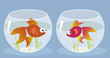 © aleutie - Love at first sight. Cartoon goldfish smitten by a girl fish sitting in the another fishbowl, vector illustration, EPS 8, no transparencies