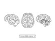 Human brain views 1