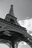 Fototapeta Paryż - Monochromatic photo of the Eiffel Tower in Paris