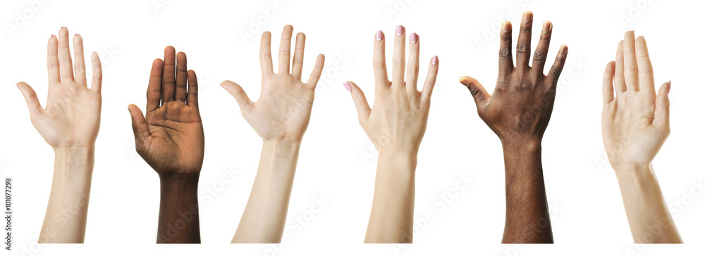 Set of raised hands, isolated on white Stock Photo | Adobe Stock