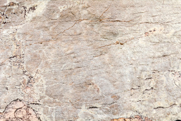 Poster - Surface of the stone for background.