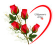 Valentine's Day background with a bouquet of red roses. Vector.
