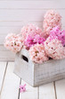 Background with pink  flowers hyacinths in box  on white wooden