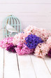 Background with fresh pink,  purple and violet  hyacinths on whi