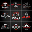Set of Japan Ninjas Logo. Katana weapon insignia design. Vintage ninja mascot badge. Martial art Team t-shirt illustration concept.