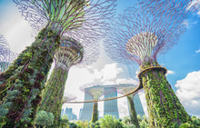 Garden By The Bay And Marina Bay Sands Hotel  At Singapore On The Blue Sky Background.