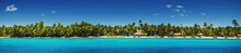 Panoramic View Of Exotic Palm Trees On The Tropical Beach.