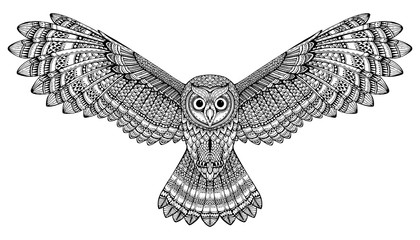 Vector hand drawn flying owl. Black and white zentangle art