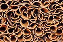 Cork Pile