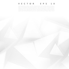 Wall Mural - vector abstract geometric shape from gray.