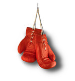 Fototapeta  - Red Boxing Gloves isolated on white background with shadow