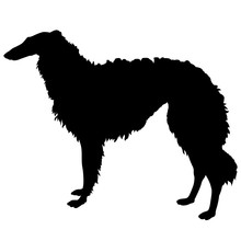 Greyhound Dog Silhouette Black White