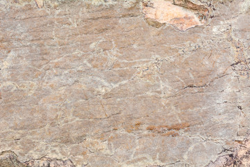 Canvas Print - Abstract sandstone texture background in natural pattern