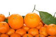 Tangerines and oranges on white background