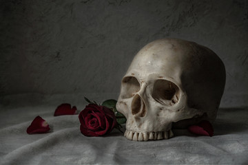 Still life painting photography with human skull and roses