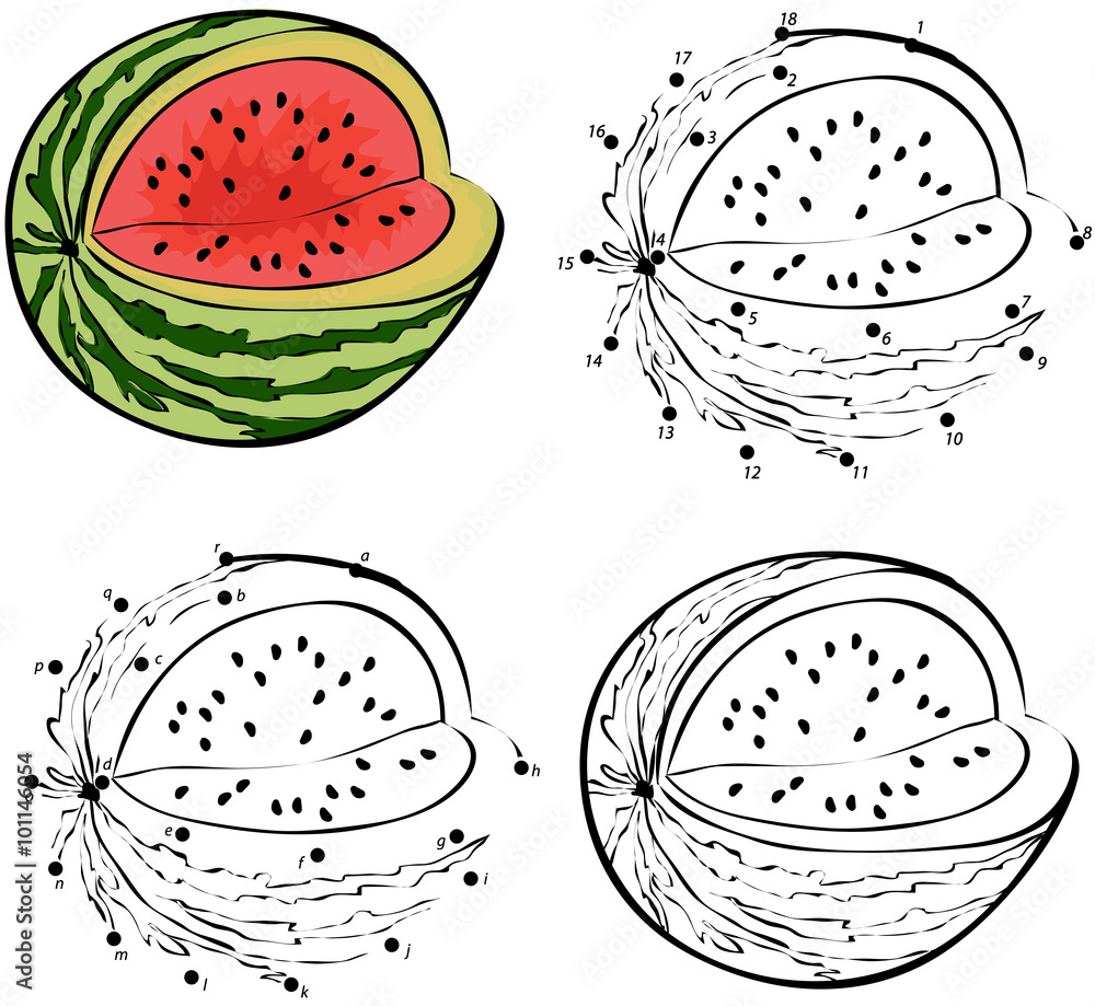 Cartoon watermellon. Vector illustration. Coloring and dot to do Stock ...