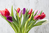 Fototapeta Tulipany - Tulips on the grey background.