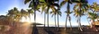 palms beach panorama