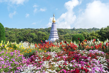 Flower Garden Around Phra Maha Dhatu Nabha Mataneedol