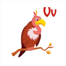 Vulture. Funny Alphabet, Animal Vector Illustration