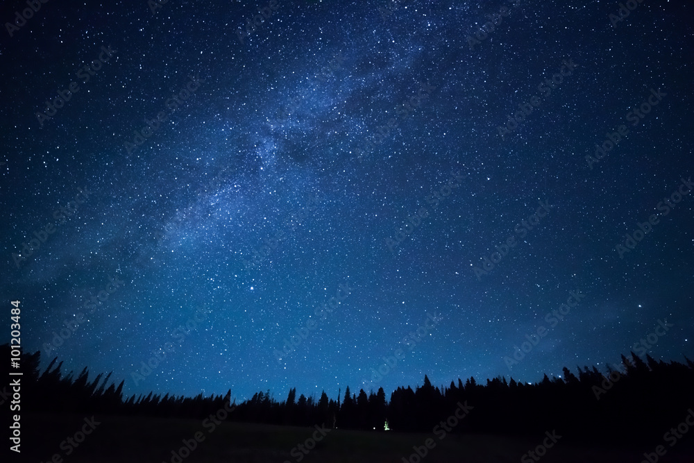 Blue dark night sky with many stars above field of trees. Milkyw - obrazy, fototapety, plakaty 
