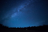 Blue dark night sky with many stars above field of trees. Milkyw