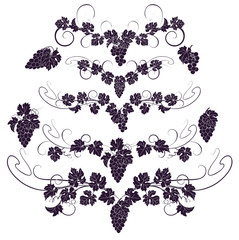 Vector design elements in vintage style with vines.