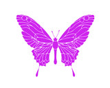 Fototapeta Motyle - Hand drawn ornamental butterfly outline illustration 