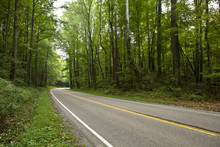 Curving Road In Forest In The Great Smoky Mountains Of Tennessee