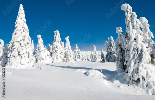  Fototapeta Karkonosze   zimowa-sceneria-krajobrazowa-z-karkonoszy-karkonoszy