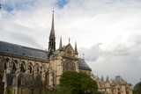 Fototapeta Paryż - Notre Dame de Paris Cathedral.Paris. France