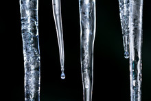 Icicles From Low Winter Temperatures