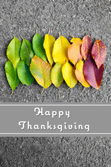 Wall Mural - Autumn leaves background and text Happy Thanksgiving