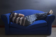 © Luis Echeverri Urrea - Hombre haciendo la siesta.