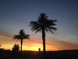Palm Tree silhouettes and colorful sunset sky