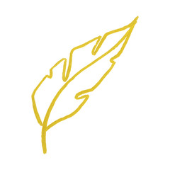 Wall Mural - Golden yellow velvet feather symbol isolated 