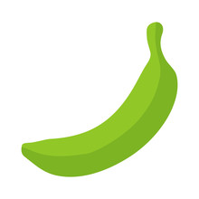 Green Banana / Cooking Plantain Fruit Flat Icon For Food Apps And Websites