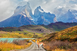 Fototapeta  - Majestic  day in Patagonia